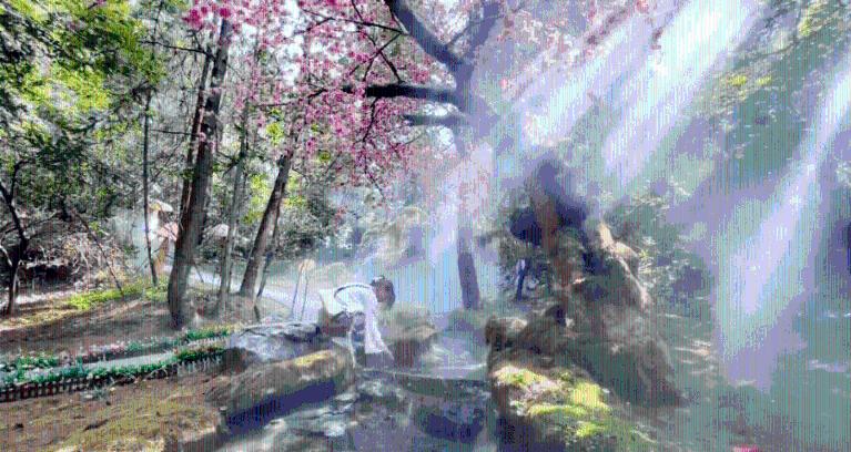 蜂王救援